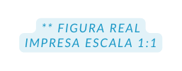FIGURA REAL IMPRESA ESCALA 1 1